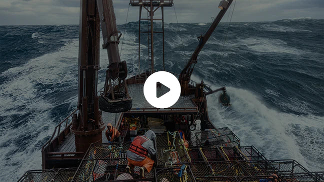 Chad and Craig Lowenberg of the F/V Arctic Lady on the Bering Sea