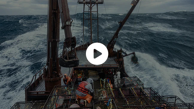 Chad and Craig Lowenberg of the F/V Arctic Lady on the Bering Sea 
